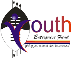 Youth Enterprise Revolving Fund